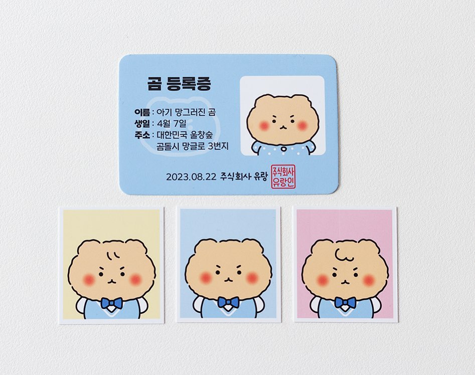 망그러진곰 증명사진 2