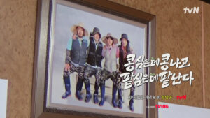 콩콩팥팥 4