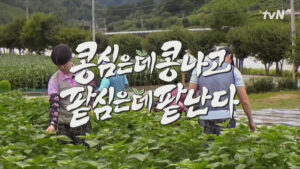 콩콩팥팥 5