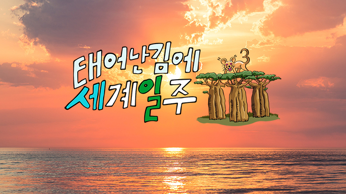 MBC 태계일주3
